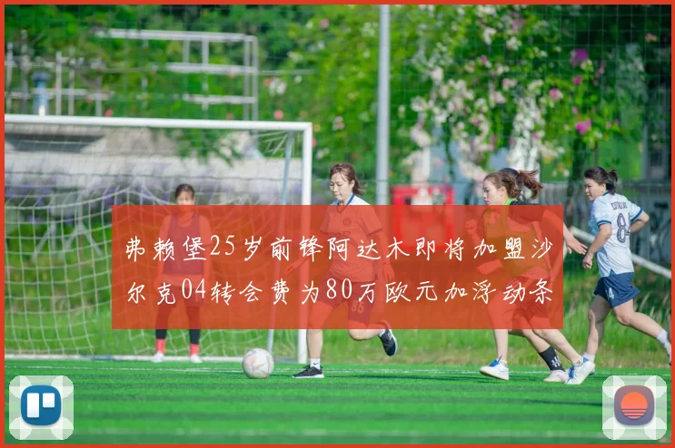 弗赖堡25岁前锋阿达木即将加盟沙尔克04转会费为80万欧元加浮动条件