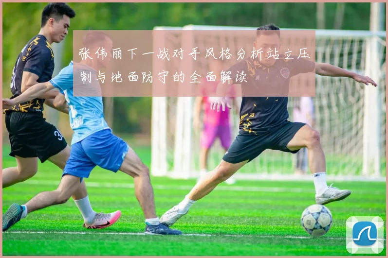 张伟丽下一战对手风格分析站立压制与地面防守的全面解读